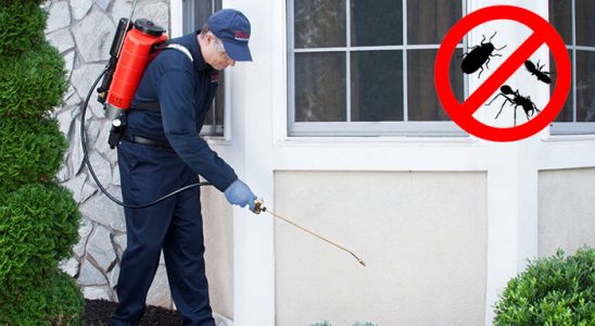 Murgul Dezenfeksiyon böcek ilaçlama ve haşere kontrolü — ilaclama-tr.com